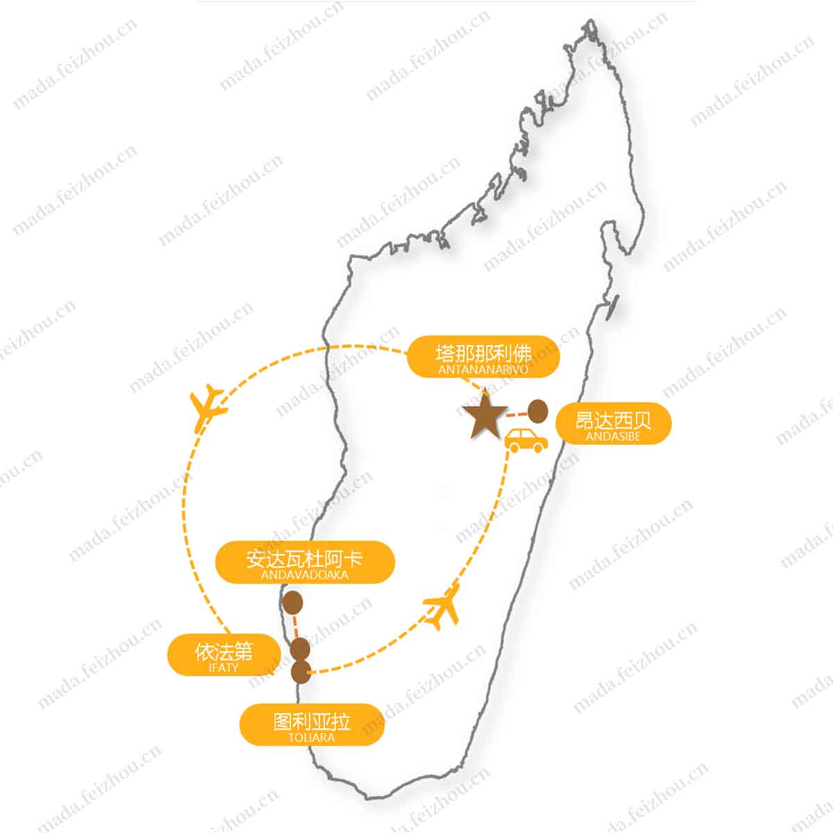 狂野猴面包树8日之旅