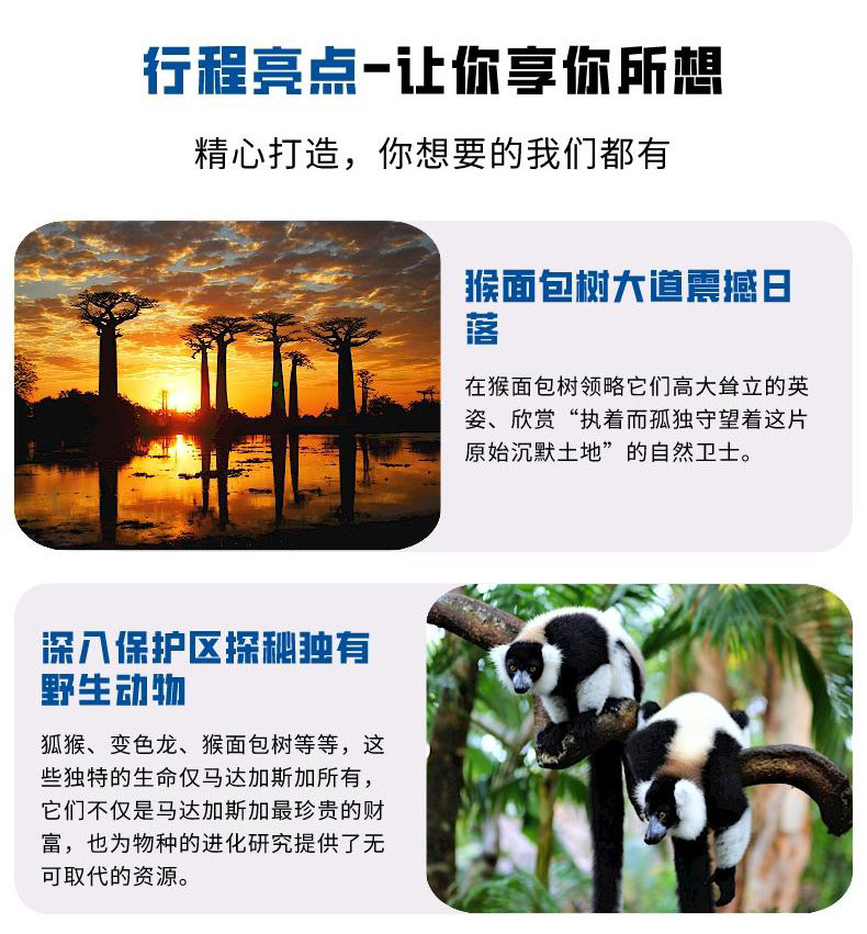 马达加斯加西南全景11天10晚游