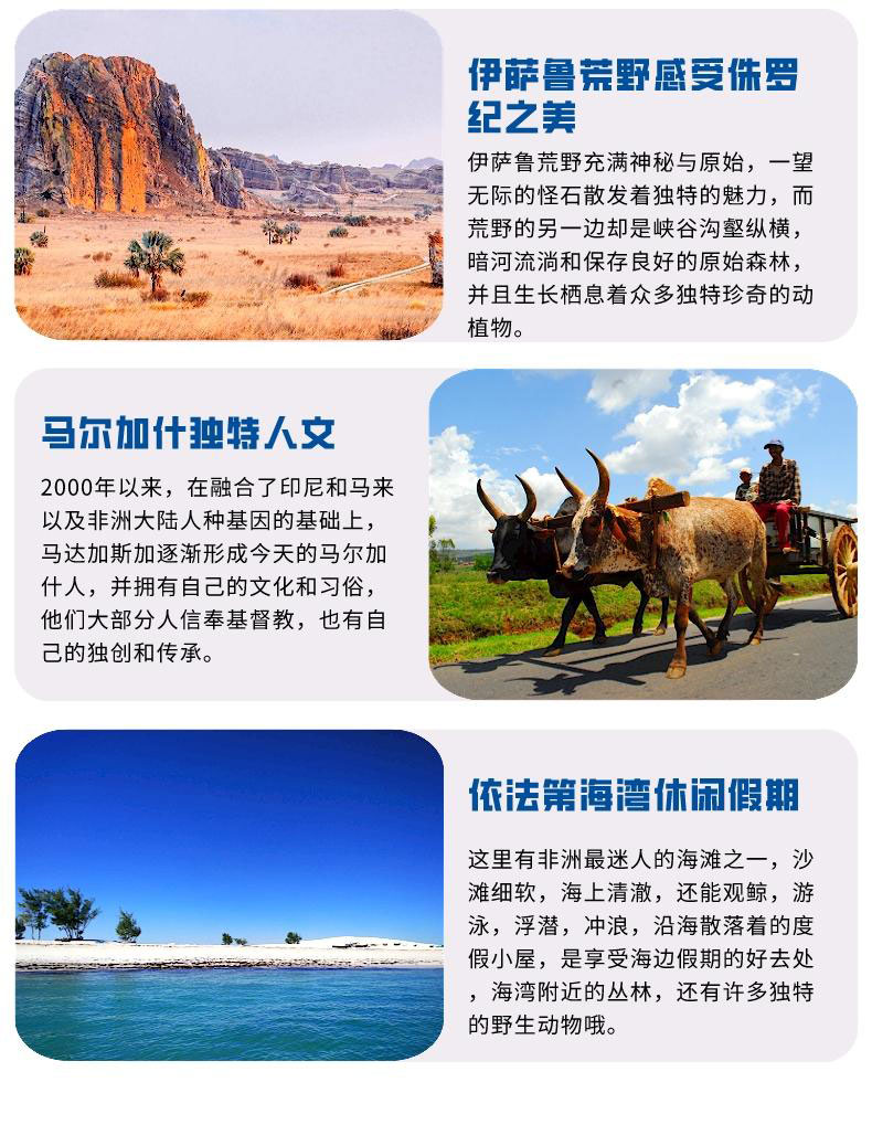 马达加斯加西南全景11天10晚游